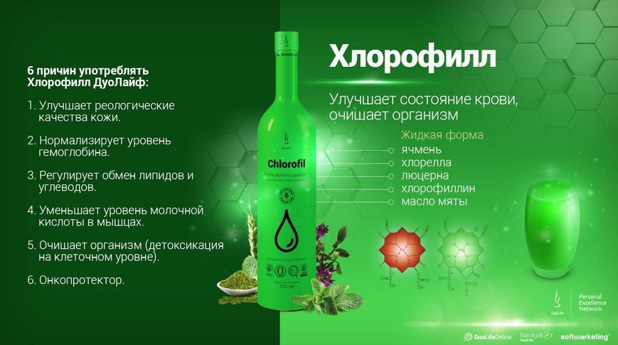 DuoLife Chlorofil DLLQPCHL010000 фото